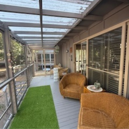 Couran Cove Eco Cabin ECM Undercover Balcony Image Couran Cove Eco Cabin ECM Undercover Balcony Image