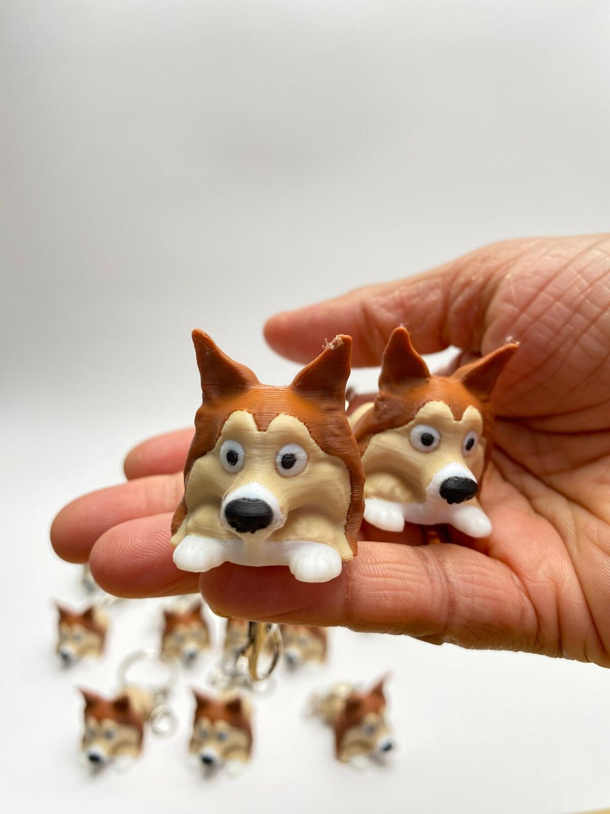 Dogs Collection 