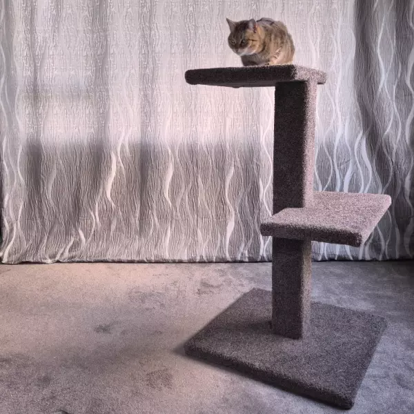 Wellington made cat trees 2 tier dark grey cat tree Wellington made cat trees 2 tier dark grey cat tree