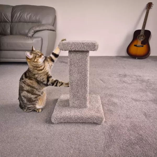 Wellington made cat trees grey scratching post