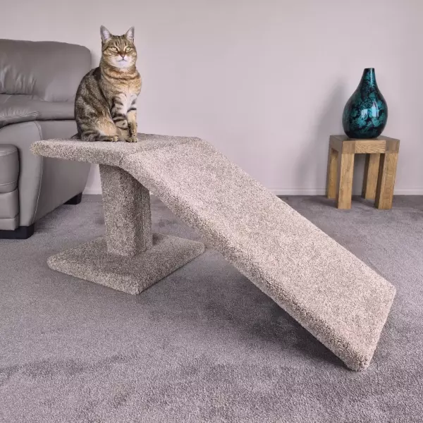 Wellington made cat trees foldable ramp