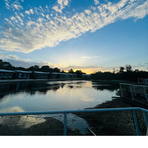 Working Bees Working Bees