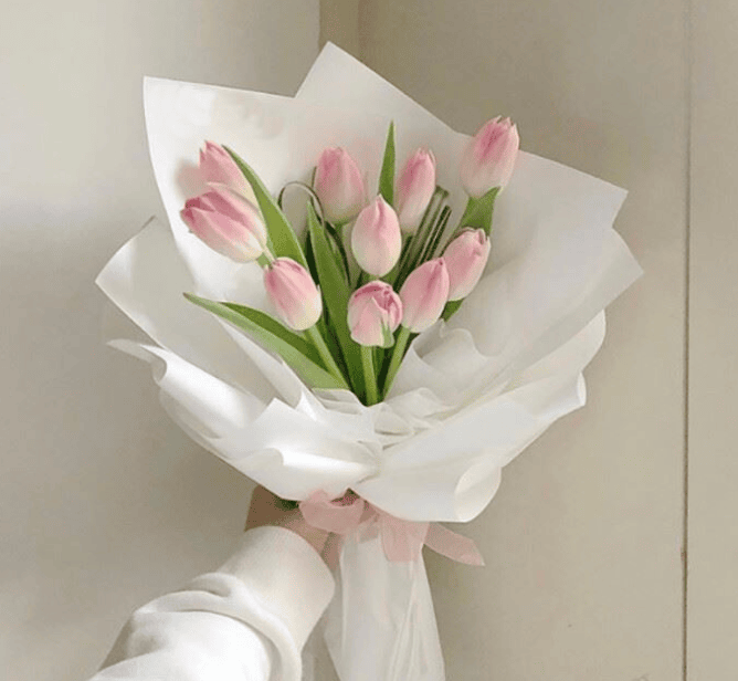 Sweat Shirts Sweat Shirts