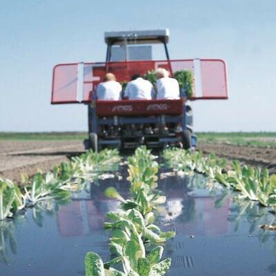 BioAgri Biodegradable Mulch Film