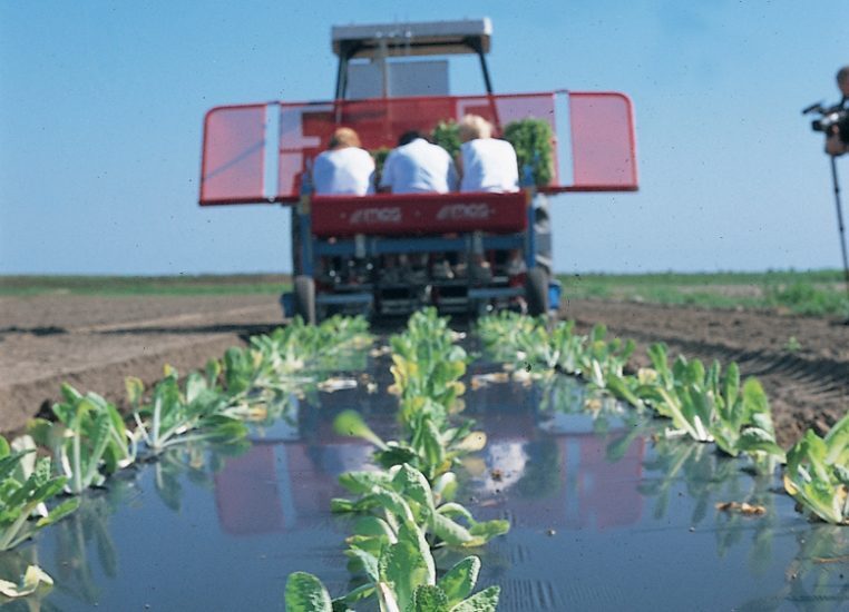 BioAgri Mulch Film BioAgri Mulch Film