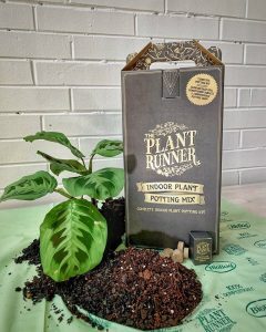 Biobag Eco Potting Mix