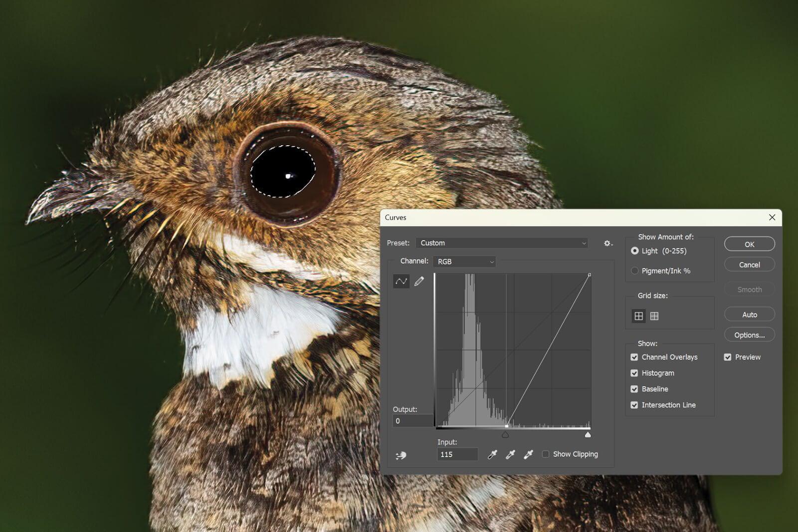 Adjusting the backpoint of the red-eye affected area. Adjusting the backpoint of the red-eye affected area.