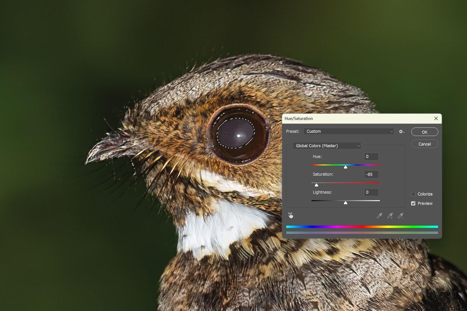 Using the saturation tool to desaturate the area of red-eye Using the saturation tool to desaturate the area of red-eye