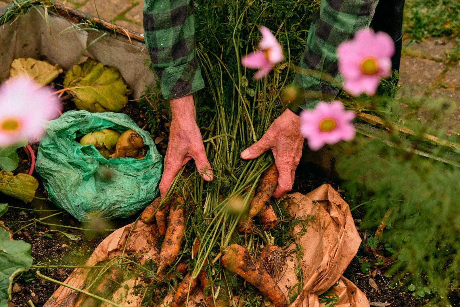 Soil Biodegradable Mulch Film Soil Biodegradable Mulch Film