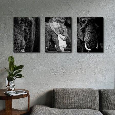 High quality colourful wall hangings printed on metal and canvas