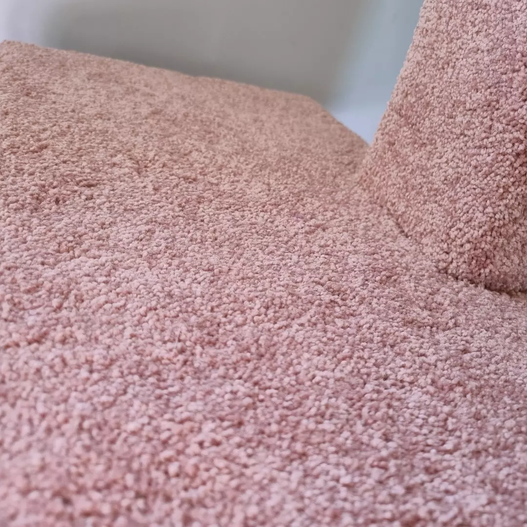 Close up photo of a cat tree in Wellington