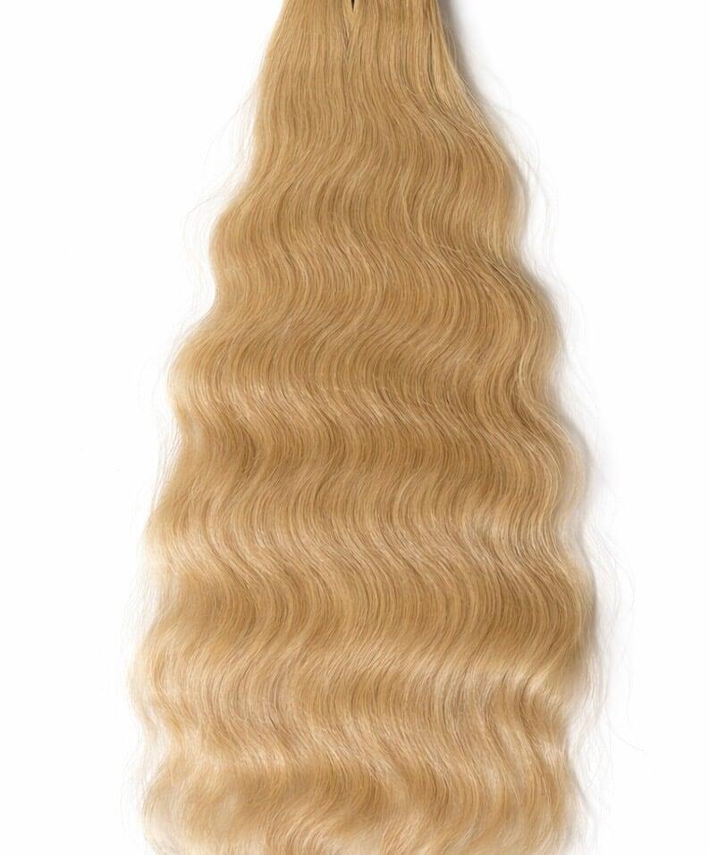 Curly NB