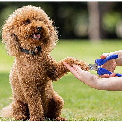 Nestle Purina TTLCR Pet Nail Clipper