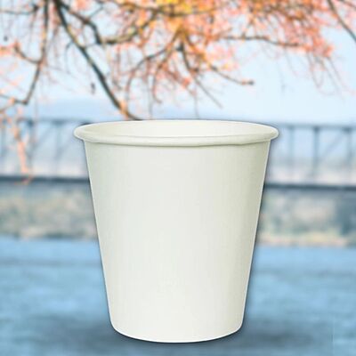 170mL Single Wall Cups