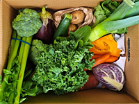 Value Organic Veggie Box ($70 value for $55 / click for contents) Value Organic Veggie Box ($70 value for $55 / click for contents)
