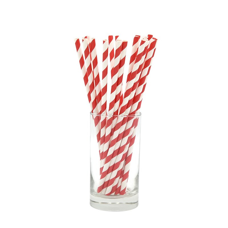 Earth Essentials Paper Straws Red & White Stripes