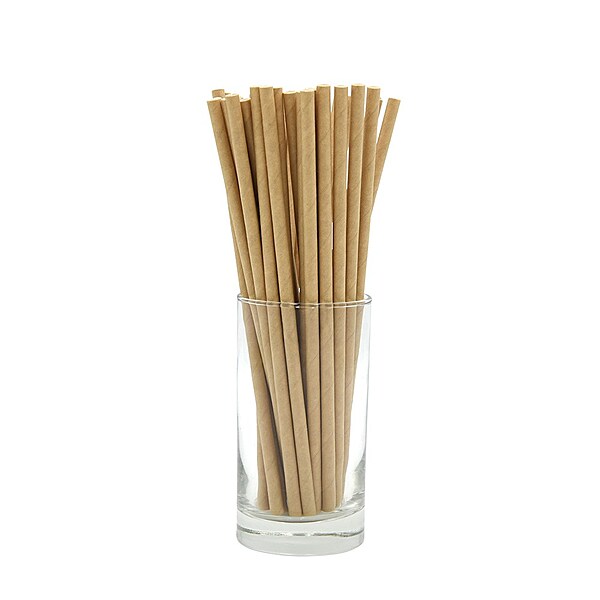 Earth Essentials Paper Straws Kraft Regular 205mm
