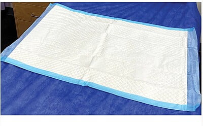 Haines SmartBarrier Absorbent Pad Bluey 60x40cm 5 Ply Carton Of 300