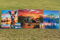 Car Sunset Coaster