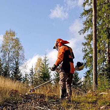 BRUSHCUTTER