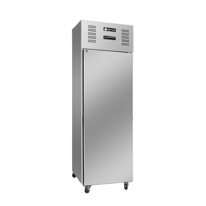 Single Door Upright Fridge/CRT24-1