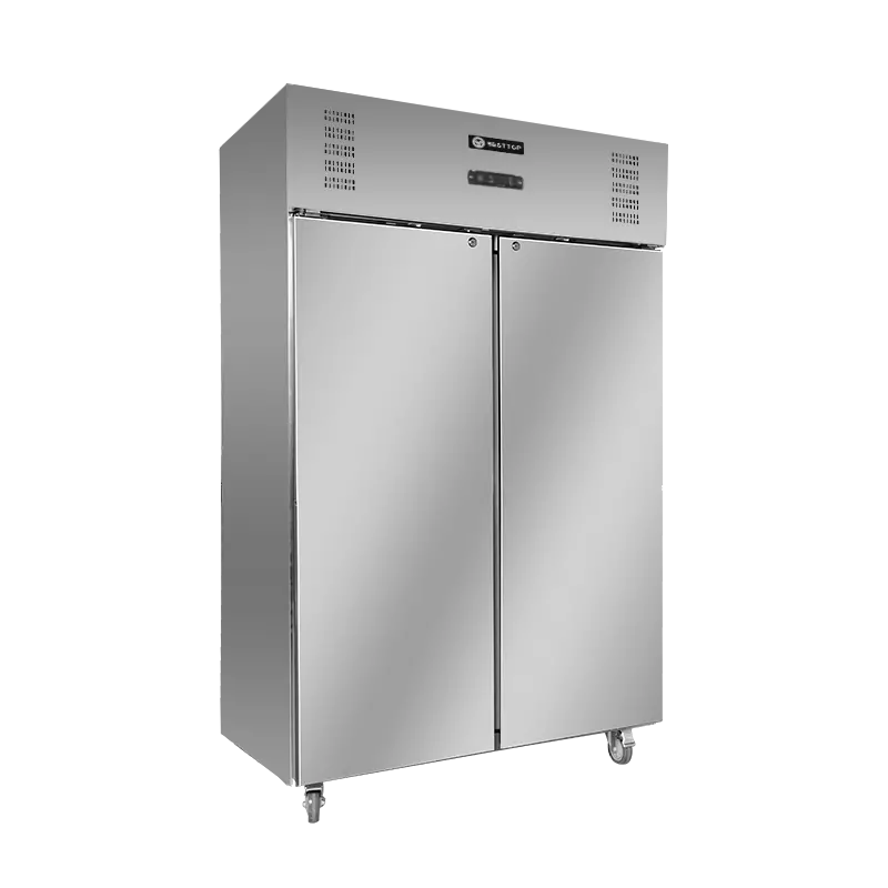 Double Door Upright Fridge/CRT48-2