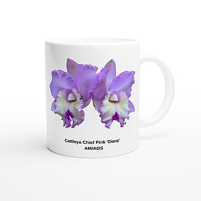 Cattleya Chief Pink 'Diana' Orchid Coffee Mug