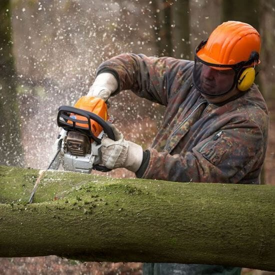CHAINSAWS