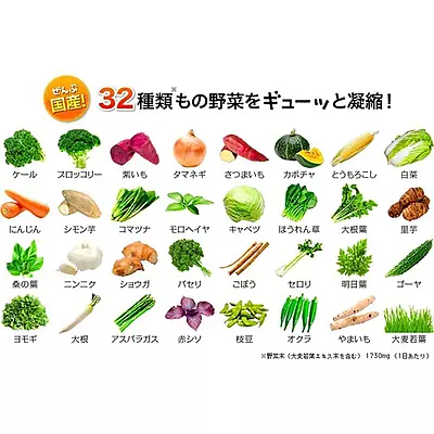 DHC PERFECT VEGETABLES PREMIUM SUPPLEMENT TABLETS