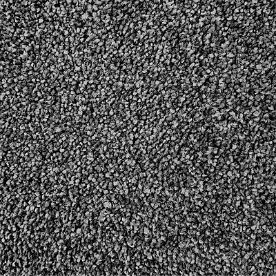 Scottish Fold - Ramp