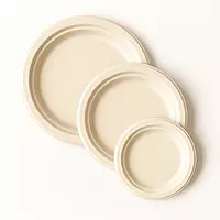 Sugarcane Round Plates, 50pcs