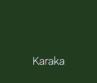 Silo tank 800L Karaka