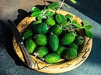Feijoa