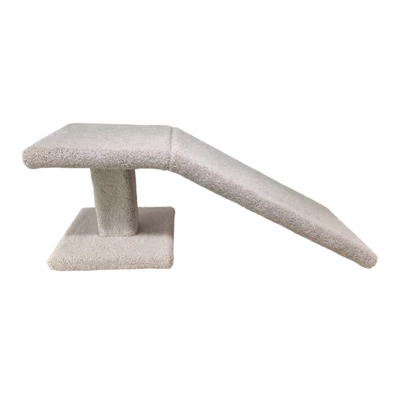 Scottish Fold - Ramp