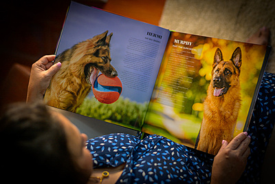 BOOK - GERMAN SHEPHERDS OF AUSTRALIA 1.0