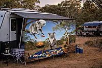 Drop Bear Coaster