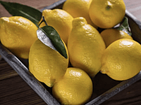 Eureka Lemon