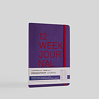 myPAPERCLIP 12 Week Productivity Journal