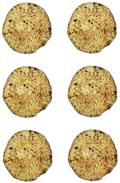 Matzah Stickers