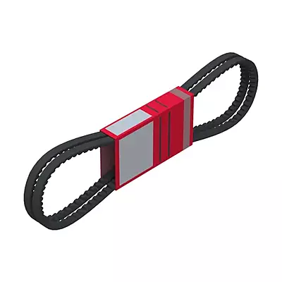 BELT- B-SECT- MATCHED SET/2