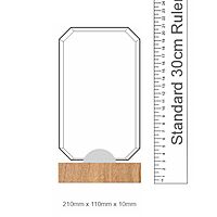 Official Trophy 2025 - Glass Engraved