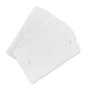 Cards .76mm PVC Double Name Badges With Holes CR80 (500 Pack)