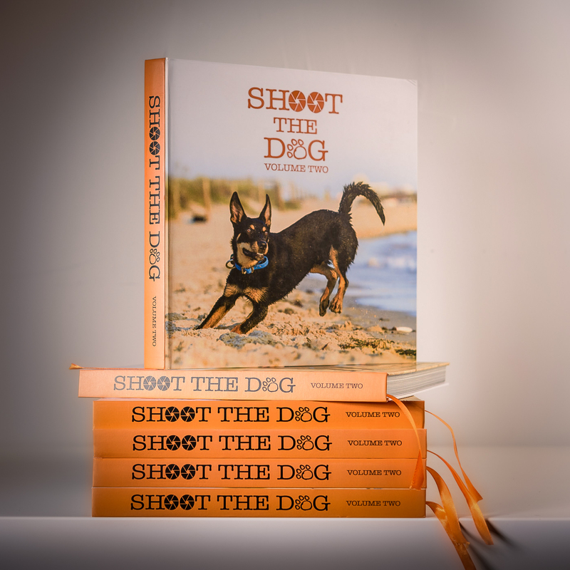 BOOK - Shoot The Dog Volume TWO