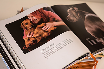 BOOK - Shoot The Dog Volume TWO