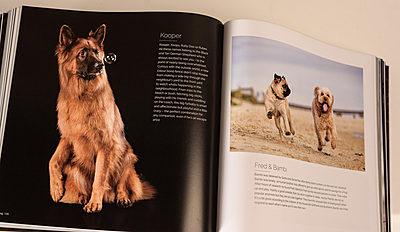 BOOK - Shoot The Dog Volume TWO