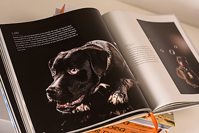 BOOK - Shoot The Dog Volume TWO