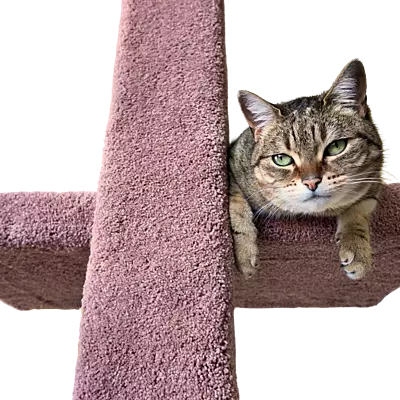 Bengal - 3 Tier Cat Tree