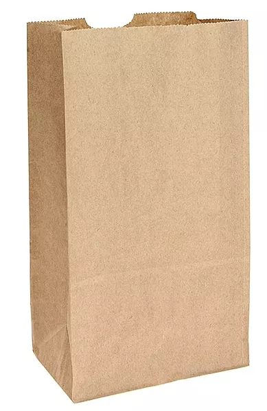 Checkout Paper Bags, 250pcs/ctn