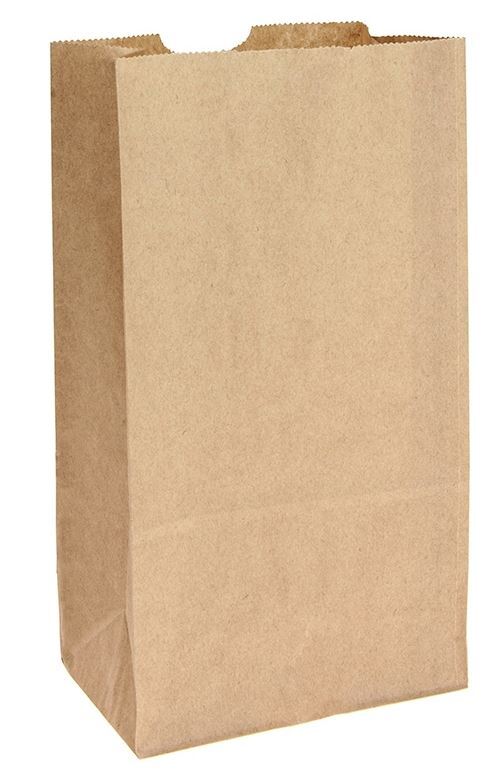 Checkout Paper Bags, 250pcs/ctn