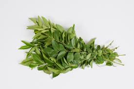 Curry Leaves